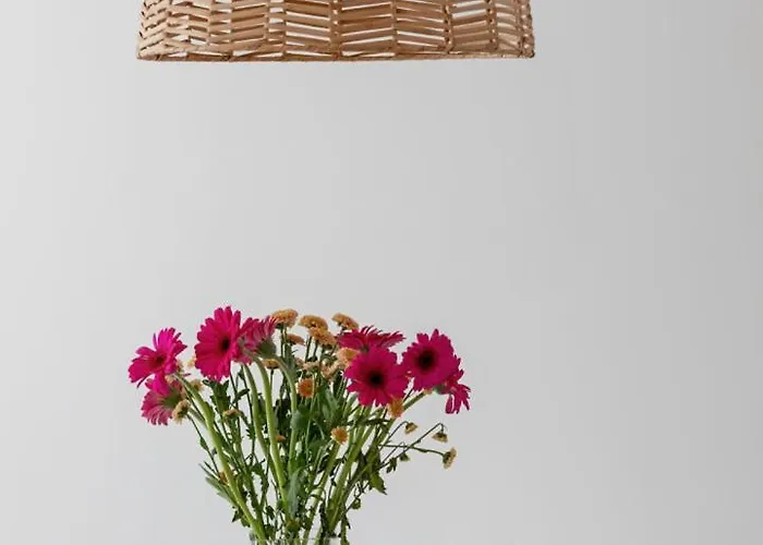 Sanddunes Chillout By Major Domus Club *